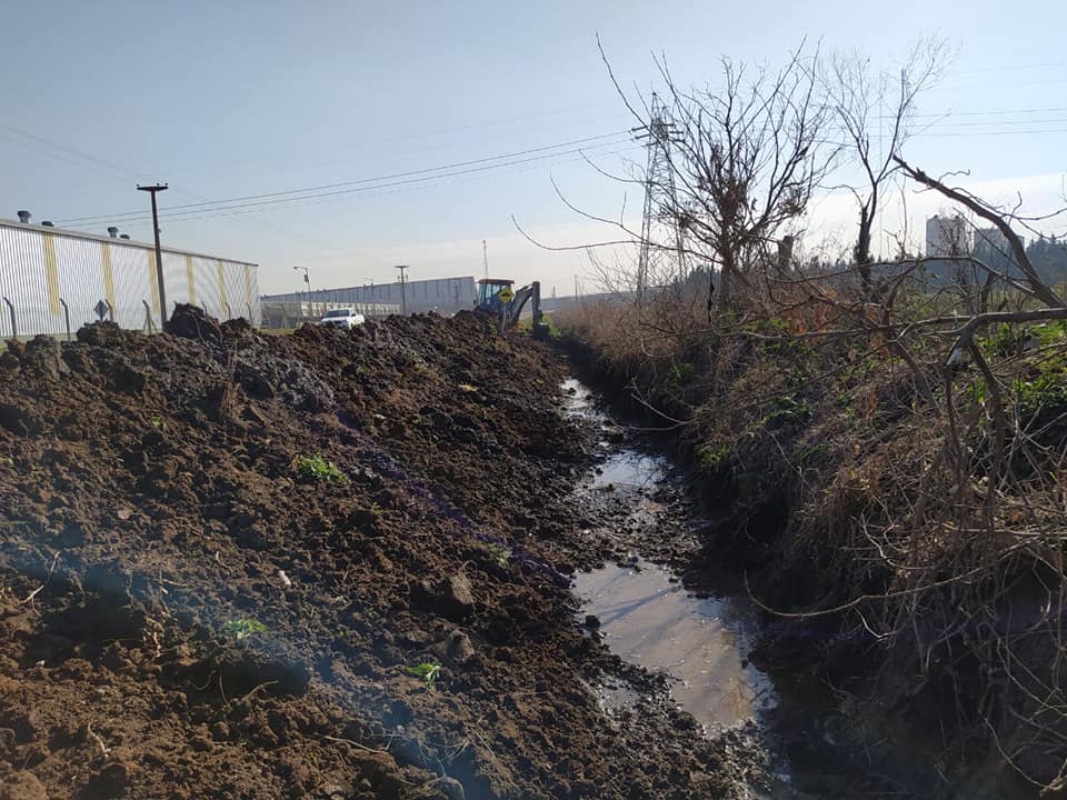 Tareas de mantenimiento en caminos de tierra en Alvear