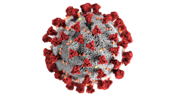 Nueva cepa de Coronavirus en el Reino Unido