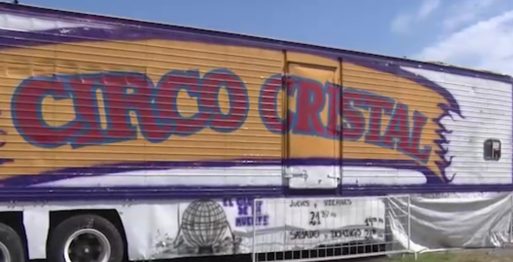 Vivir en Circo, en plena Pandemia