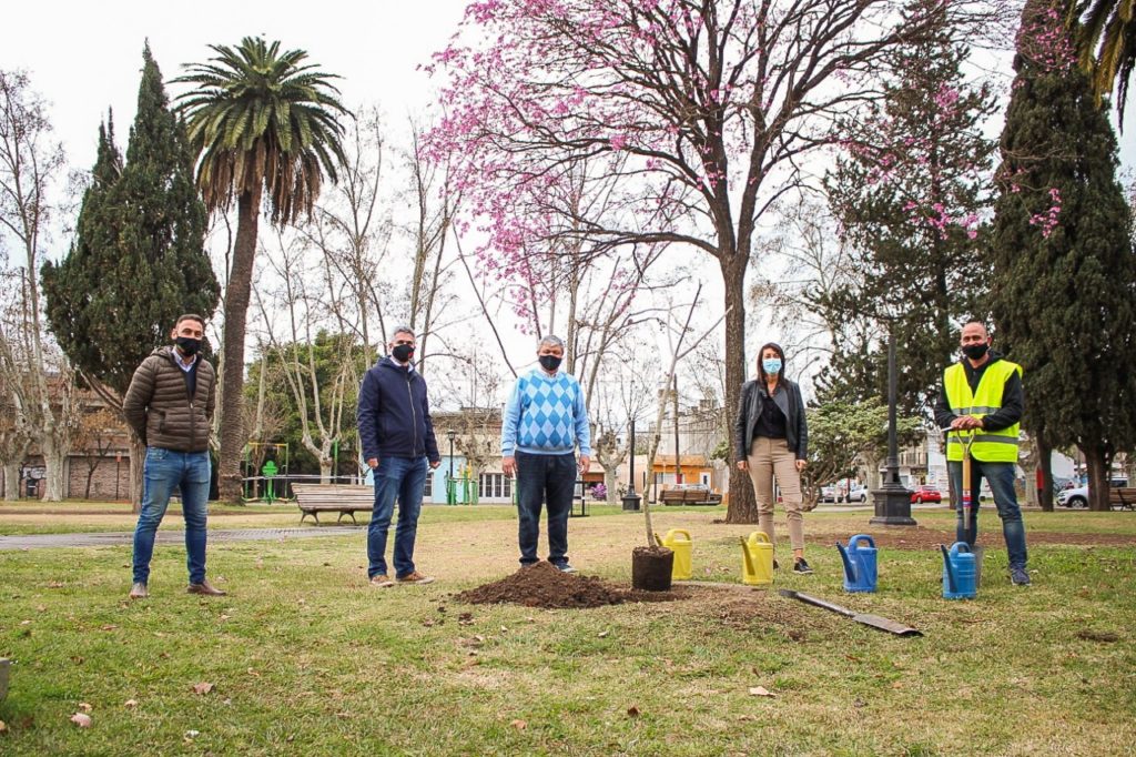Plantación simbólica por el Día del árbol