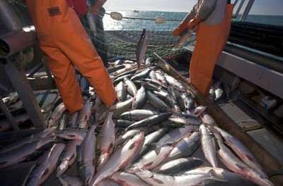 $1.680.000 por infringir la ley de pesca