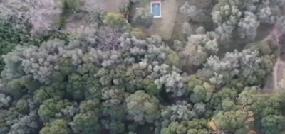 Buscan crear reserva natural urbana del Bosque de los Olivos