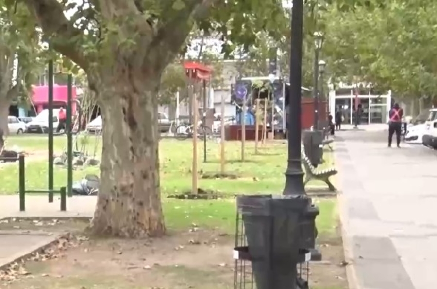Plantaron árboles en la plaza San Martín en V.G.Gálvez