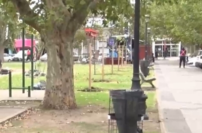 Plantaron árboles en la plaza San Martín en V.G.Gálvez