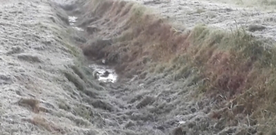 Por lo menos hasta el jueves sigue el frío polar