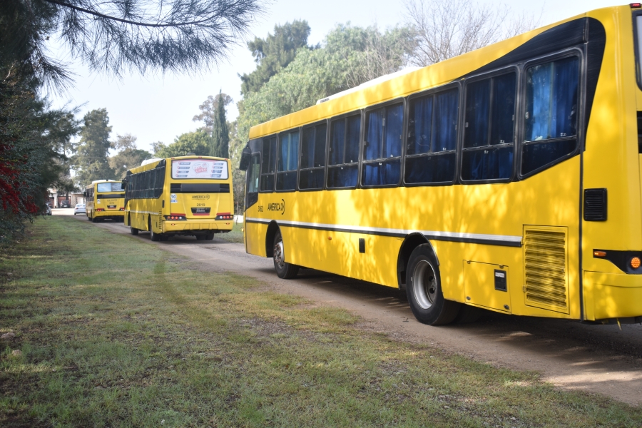 Vuelven a circular los colectivos en Rosario tras suspensión por amenazas