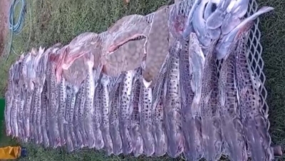 $1.680.000 de multa a cordobeses que infringieron la ley de pesca en Santa Fe