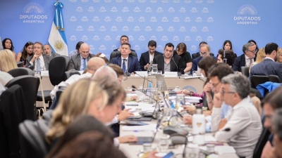 Se retoma la discusión de la ley Ómnibus y se recibirá a representantes de sectores afectados en Diputados