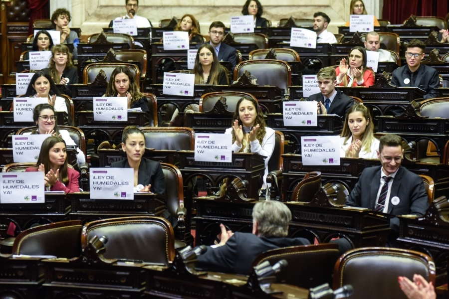 Cambio de roles: una experiencia en diputados con universitarios de todo el país
