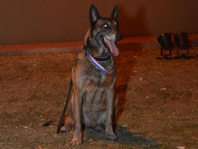 El adiós a Baloo, el perro rescatista que durante diez años fue héroe de los santafesinos