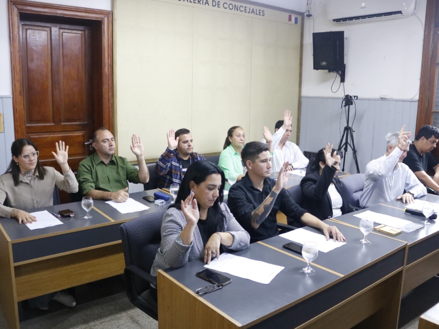 V.G.Gálvez: el Concejo aprobó iniciativas clave en educación, urbanismo y servicios