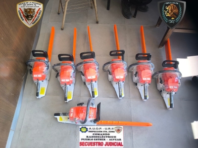 Pueblo Esther: secuestran siete motosierras sin documentación y aprehenden a tres hombres