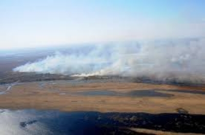 El río dejó de crecer y el fuego continúa en las islas