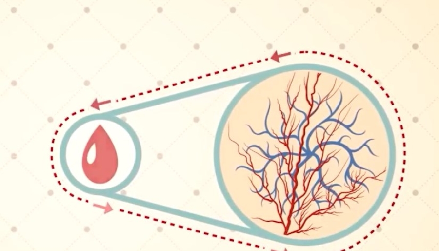 Día Mundial de la Hipertensión Arterial