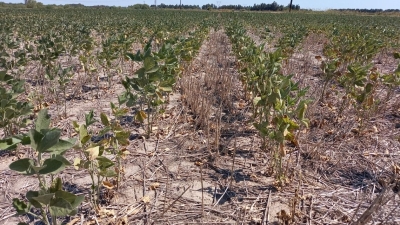 Prorrogan y amplían del Estado de Emergencia y Desastre Agropecuario en la provincia de Santa Fe