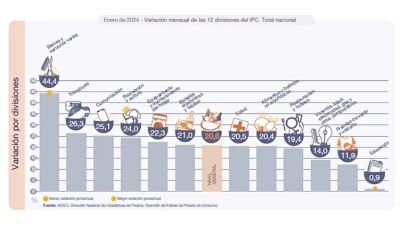 20,6% fue la inflación de enero y 254,2% el interanual