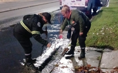 Temporal en V.G.Gálvez: activaron protocolos de emergencia tras lluvias intensas