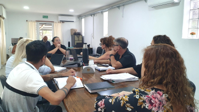 Comisiones: seguimiento institucional y análisis de iniciativas locales