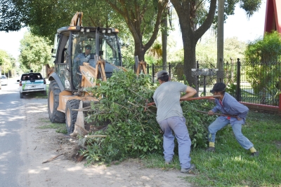 Continúa la campaña de concientización de &quot;Desechos verdes&quot;